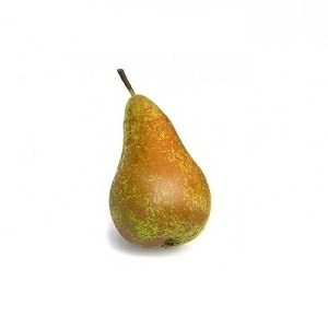 CONFERENCE PEAR 1PCS